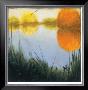 Autumn Marsh Ii by Mark St. John Limited Edition Print