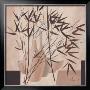 Swinging Bamboo Ii by Franz Heigl Limited Edition Print