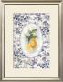 Lemon Toile by Sarah Elizabeth Chilton Limited Edition Pricing Art Print