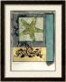 Starfish Composition I by Jennifer Goldberger Limited Edition Print