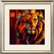 Wild Exotic I by John Douglas Limited Edition Pricing Art Print