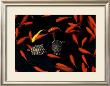 Goldfish Pond, Beijing Botanical Gardens by John Warburton-Lee Limited Edition Pricing Art Print