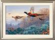 Pheasants In Flight by Archibald Thorburn Limited Edition Print