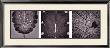Poetica Autumnalis Series I by Pawel Winczewski Limited Edition Print