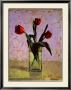 3 Red Tulips Ii by Tania Darashkevich Limited Edition Pricing Art Print