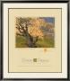 The Bishop's Apricot Tree by Gustave Baumann Limited Edition Print