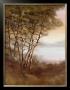 Seven Birches by Trevyh Limited Edition Print