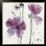 Pansies Vi by Marthe Limited Edition Print