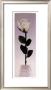 Long Stem Rose by Dick & Diane Stefanich Limited Edition Print