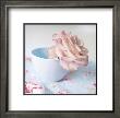 Rose In Bowl by Louis Quail Limited Edition Pricing Art Print