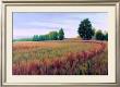 Sauvie Island I by Alan Stephenson Limited Edition Pricing Art Print