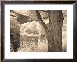 Lakefront View Ii by Ily Szilagyi Limited Edition Print