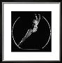 La Danseuse Du Crazy Horse by Pierre-Anthony Allard Limited Edition Print