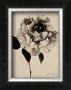 Sepia Rose by Deborah Schenck Limited Edition Pricing Art Print