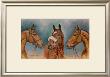 The Three Winter Kings by Sarah Aspinall Limited Edition Pricing Art Print