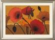 Poppy Curry Iii by Shirley Novak Limited Edition Pricing Art Print