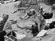 Sunbathing Under A Labrador, Abersoch 1968 by Shirley Baker Limited Edition Print