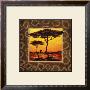 Savannah Sunset Iii by Madou Limited Edition Print