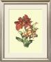Lush Floral I by Ernest-Adolphe Guys Limited Edition Print