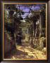 Pergola Harvest by Peder Mork Monsted Limited Edition Print