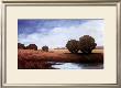 Tranquil Waters by Ray Obolewicz Limited Edition Print