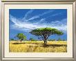Kalahari Desert by Klaus Dietrich Limited Edition Print