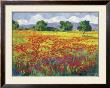 Poppies I by Jã©Sus P. Camargo Limited Edition Print