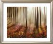 Forest In Pink by Steven Mitchell Limited Edition Pricing Art Print
