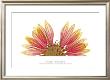 Pressed Flower Abstract No. 10 by Shams Rasheed Limited Edition Print