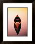 Marty Loken Pricing Limited Edition Prints