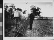 Dr. James Cornell And An Unidentified Man Spraying Potato Plants For Potato Bugs At Piney Point by Wallace G. Levison Limited Edition Print