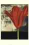 Beautiful Tulips I by Jennifer Goldberger Limited Edition Pricing Art Print