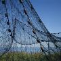 A Fishing Net With Floaties by Stig-Goran Nilsson Limited Edition Print