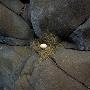 An Egg In A Nest Situated In A Cliff by Mikael Bertmar Limited Edition Print