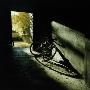 A Bicycle by Malin Gezelius Limited Edition Print