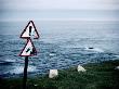 Warning Signs By The Edge Of A High Cliff, Latrabjorg, Iceland by Atli Mar Limited Edition Print