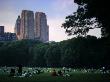 Central Park by Antoine Rouleau Limited Edition Print