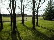 Mother And Her Son In A Park ( Miklatun ) In Reykjavik, Iceland by Gusk Limited Edition Print