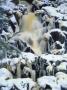 A Waterfall In Wintertime In Finland by Kalervo Ojutkangas Limited Edition Print
