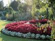 Well Bed In Walled Garden With Agave, Begonia 'Devil Red' And Pelargoniums, Cotswold Wildlife Park by Clive Nichols Limited Edition Pricing Art Print