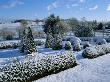 Pettifers Garden, Oxfordshire - Snow Covered Parterre With Box And Yew Shapes, Countryside Beyond by Clive Nichols Limited Edition Pricing Art Print