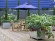 Blue Parasol Shades Table And Chairs With Planting In Galvanised Containers On Decking by Clive Nichols Limited Edition Print