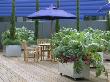 Blue Parasol Shades Table And Chairs With Planting In Galvanised Containers On Decking by Clive Nichols Limited Edition Pricing Art Print