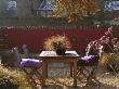 Autumnal Contemporary Courtyard With Table And Chairs, Containers With Carex by Clive Nichols Limited Edition Print
