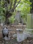 Headstones, Tower Hamlets Cemetery Park, London by G Jackson Limited Edition Print
