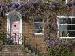 House With Wisteria, Kew, London by Natalie Tepper Limited Edition Print