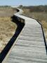 Wooden Beach Walkway, Chincoteague, Virginia by Natalie Tepper Limited Edition Print