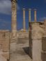 Roman Site Of Sabratha, Libya by Natalie Tepper Limited Edition Print