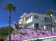 Palisades Highlands, Los Angeles, California, Usa by Natalie Tepper Limited Edition Print