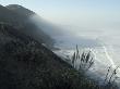 Pacific Coast Near Westport, Northern California by Natalie Tepper Limited Edition Print